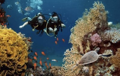 3‑Day Scuba Certification Course Program – Ocho Rios Jamaica
