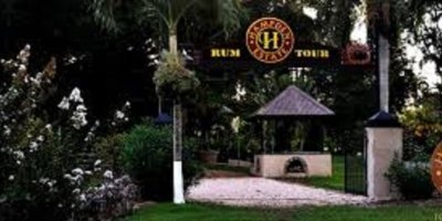 Wine, Food Tours & Tasting