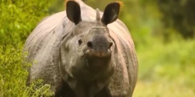 Best of Three states - Assam, Meghalaya, Arunachal