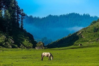 Khaptad National Park Trek 8N 9D