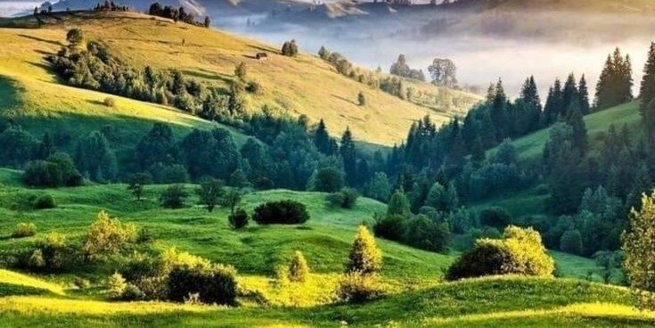 Khaptad National Park Trek 8N 9D