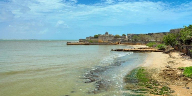 Across Gujarat Temples, Heritage & Wildlife Tour