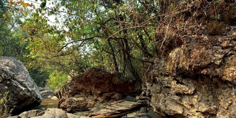 Bhubaneswar to Bhitarkanika & Similipal Wildlife Tour