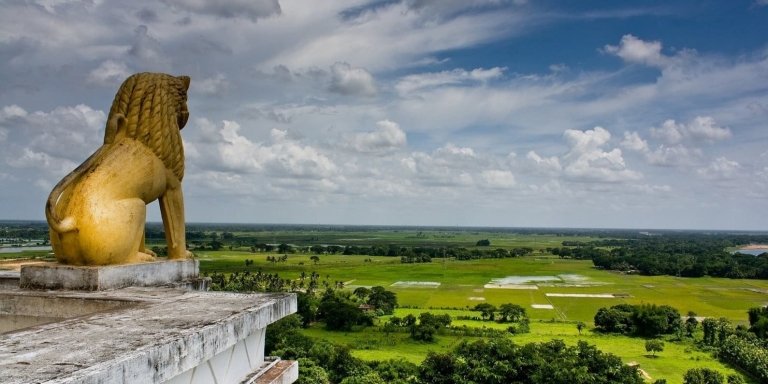 Bhubaneswar to Kolkata via Mangroves & Tiger Reserve