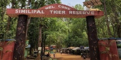 Bhubaneswar to Similipal National Park Expedition