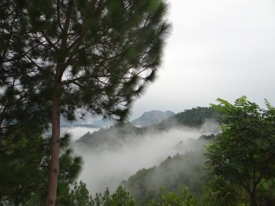 Chandigarh to Shimla Hill Station Tour
