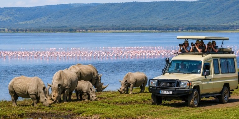 1-Day Lake Nakuru National Park Safari from Nairobi