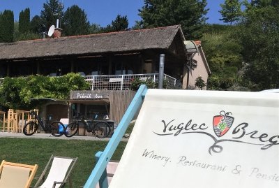 Vuglec Breg: E-bike ride through vineyards with wine tasting
