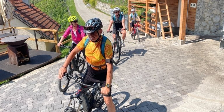 Vuglec Breg: E-bike ride through vineyards with wine tasting