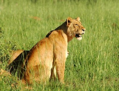 2 Days at Murchison Falls & the Nile