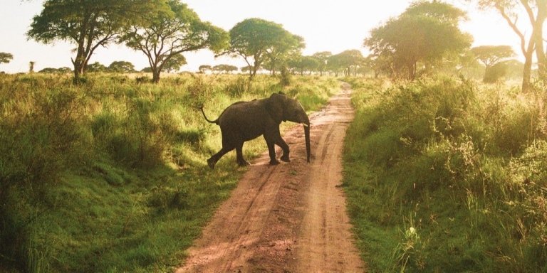 2 Days at Murchison Falls & the Nile