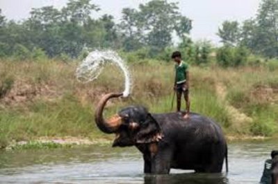 Honey Moon Tour 11 Days 10 Night