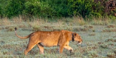 3 days queen Elizabeth national park