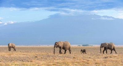 6 Days Mount Kilimanjaro Climb – Rongai Route