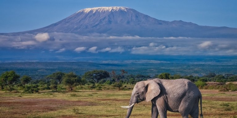 6 Days Mount Kilimanjaro Climb – Rongai Route