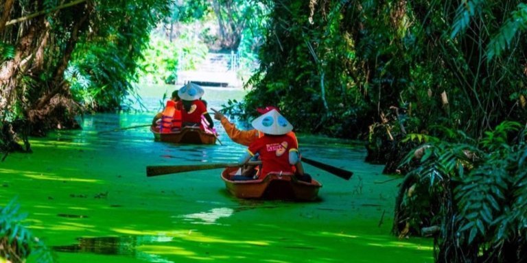 Dong Thap Muoi: Mekong Delta Wetlands Adventure