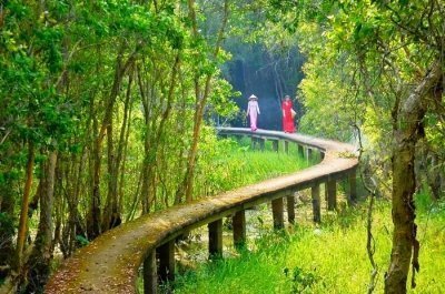 Dong Thap Muoi: Mekong Delta Wetlands Adventure