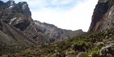 7-Day Rwenzori Mountains Climbing Adventure