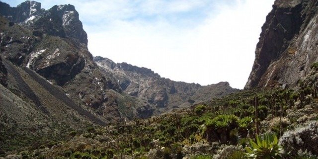 7-Day Rwenzori Mountains Climbing Adventure