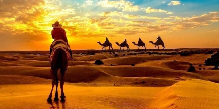 Camel Ride with Quad Bike Ride | Desert Adventure Experience