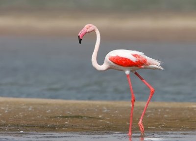 Bhuj, Narayan Sarovar & White Rann of Kutch Tour