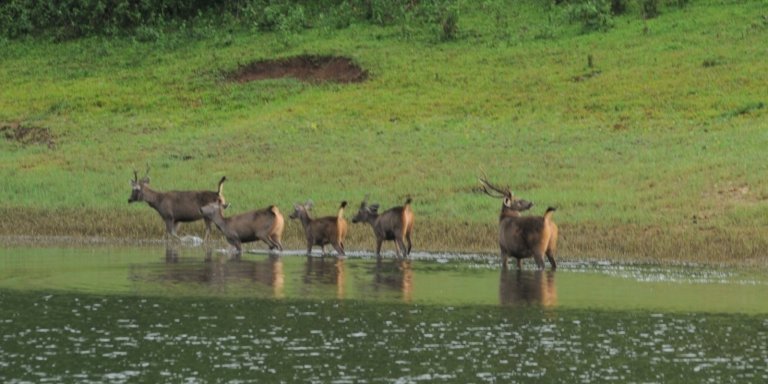 Cochin to Thekkady & Alleppey Tour