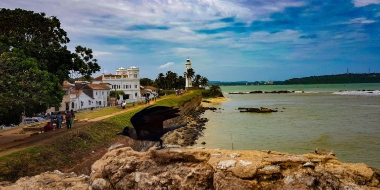 Sri Lanka Cultural, Wildlife & Beach Tour