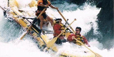 8-Day Rafting, Rhinos, Gorillas & Wildlife Safari in Uganda