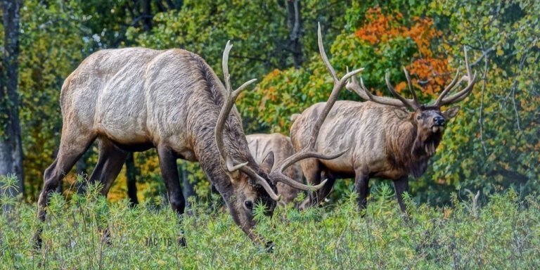 10-Day Uganda Photo Safari – Capture the Pearl of Africa