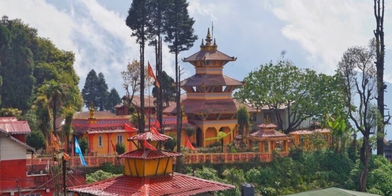 Darjeeling Tea Estate Tour
