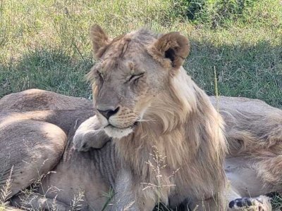 2 Days Safari Tsavo East Voi Safari Lodge