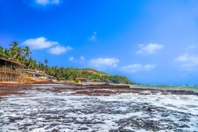 Goa to Anshi National Park