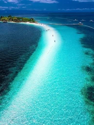 Dolphin Watching & Balicasag Island Tour