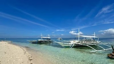 Dolphin Watching & Pamilacan Island Tour