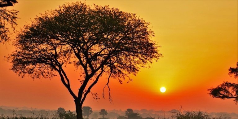 8 Days Rwanda Primate & Wildlife Safari Adventure