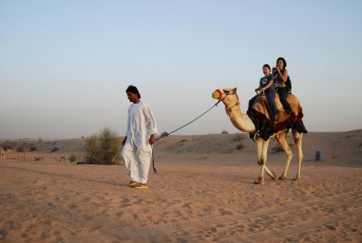 8-Day Private Rajasthan Tour Jaipur Jodhpur Jaisalmer Udaipur