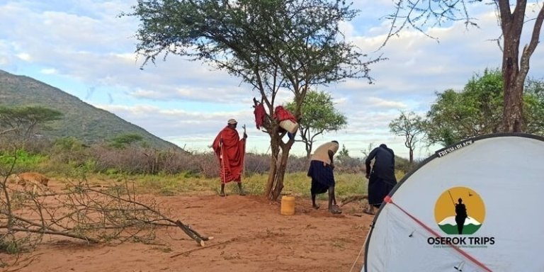Maasai Village Camping Experience