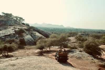 4-Day Wild Mewar and Jawai Leopard Safari Tour