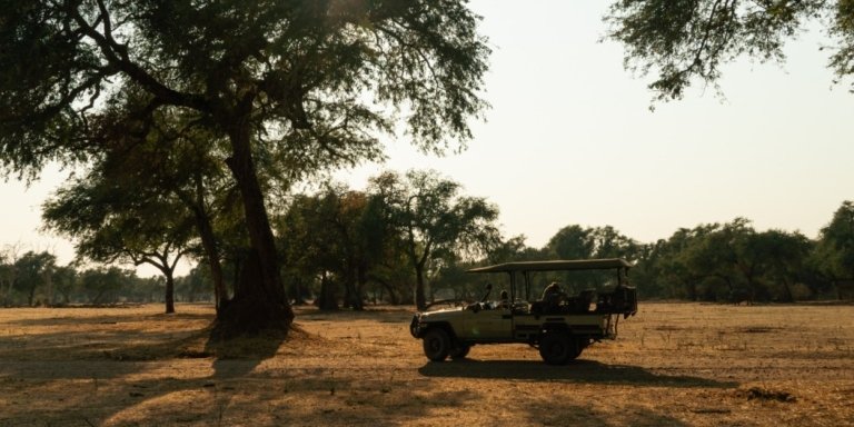 Game Drive Mosi-oa-Tunya National Park