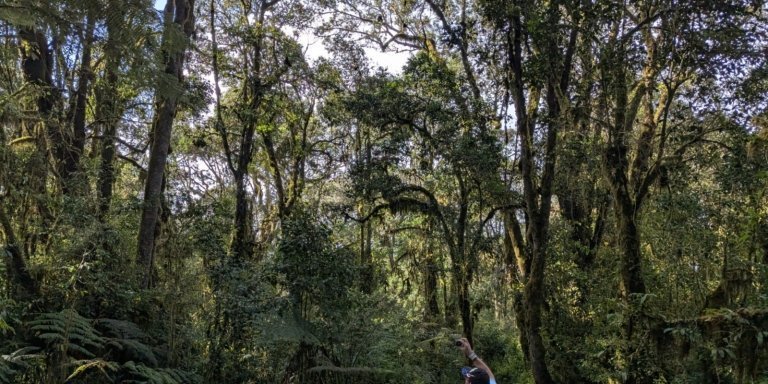 The ultimate 4 days Kilimanjaro Climbing via Marangu Route