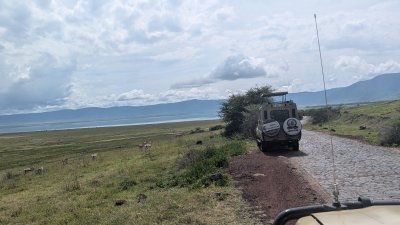 The best 4 days Tanzania sharing group safari 2026- 2027