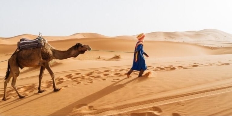 Sahara Desert Tour adventure