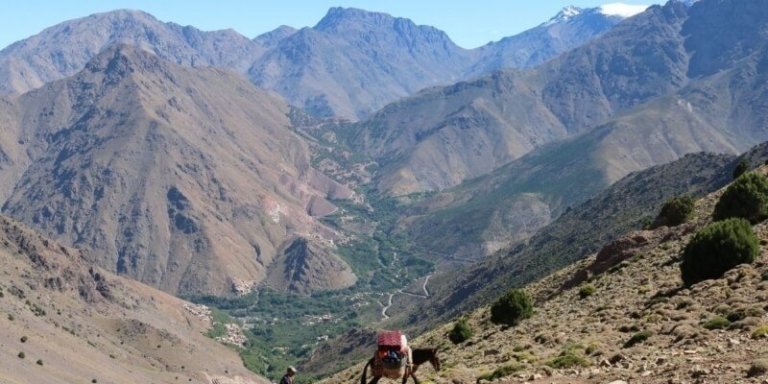 Day trip from Marrakech to Atlas mountains &camel ride