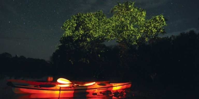 Abatan River Firefly Watching Tour