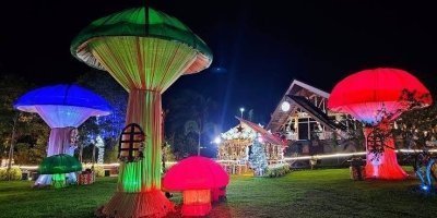 Festival of Lights Evening Tour