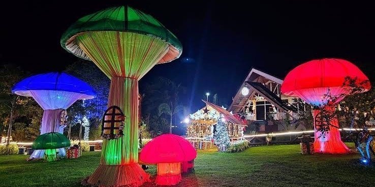 Festival of Lights Evening Tour