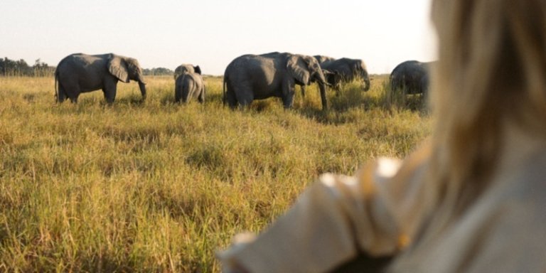 Full Chobe Day Trip
