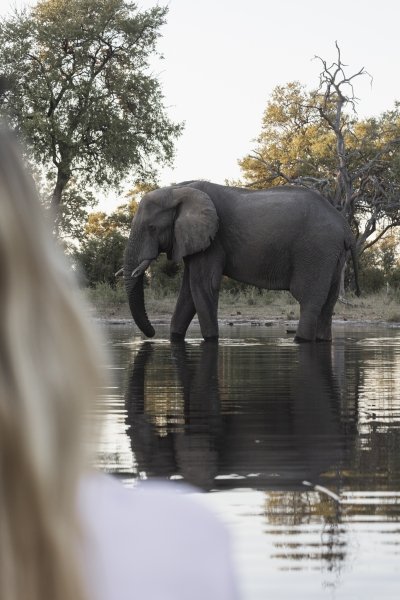 Full Chobe Day Trip