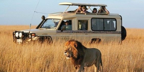 6 DAYS TANZANIA SAFARI TARANGIRE, SERENGETI AND NGORONGORO