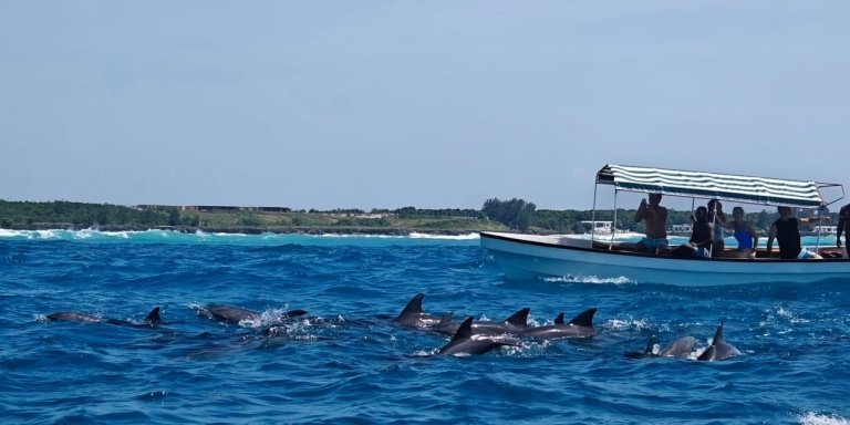Mnemba Island Dolphin Tour with Snorkeling – Nungwi or Matemwe